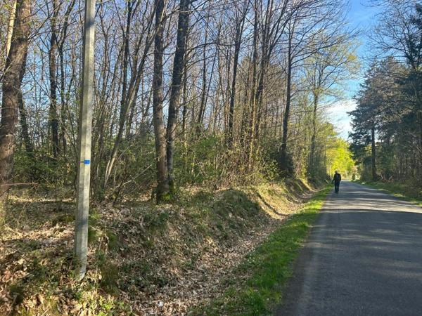 Terrain à vendre LE VIEIL BAUGE (49)