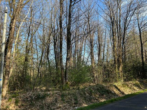 Terrain à vendre LE VIEIL BAUGE (49)