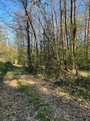 Terrain à vendre LE VIEIL BAUGE (49)