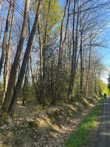 Terrain à vendre LE VIEIL BAUGE (49)