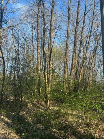 Terrain à vendre LE VIEIL BAUGE (49)