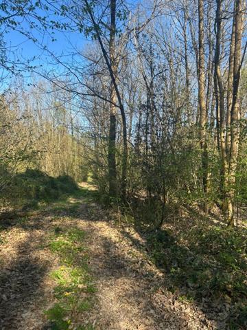 Terrain à vendre LE VIEIL BAUGE (49)