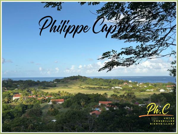 Terrain 2 255 m² à vendre LE FRANCOIS (972)