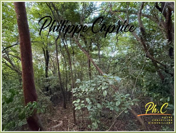 Terrain 2 255 m² à vendre LE FRANCOIS (972)