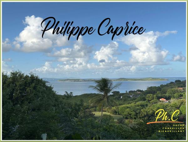 Terrain 2 255 m² à vendre LE FRANCOIS (972)