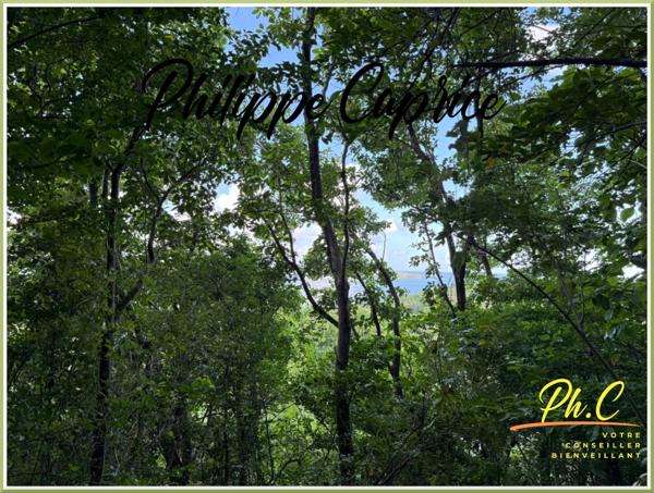 Terrain 2 255 m² à vendre LE FRANCOIS (972)