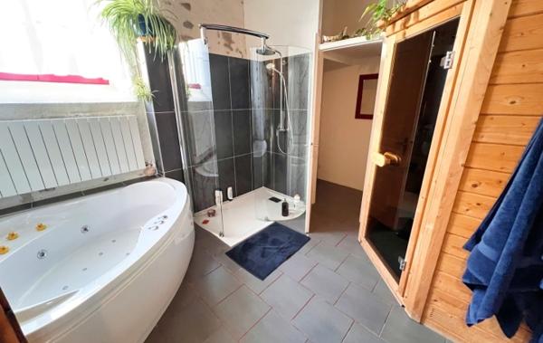 Vente Maison Piscine Tourouzelle
