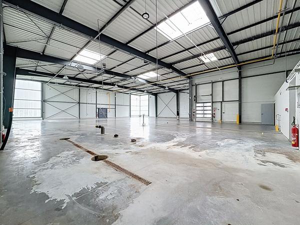 Local d'activité Brissac Loire Aubance 800 m2