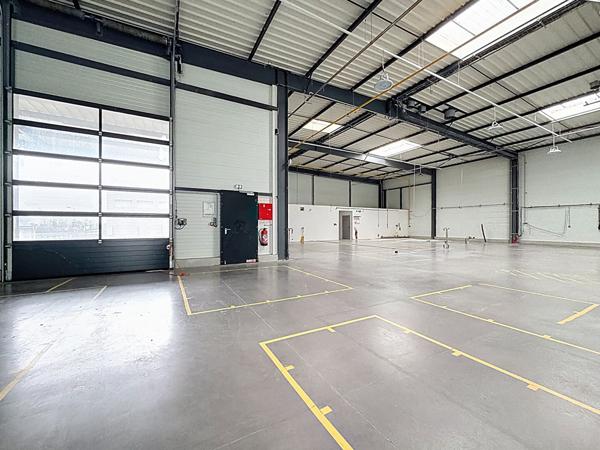 Local d'activité Brissac Loire Aubance 800 m2