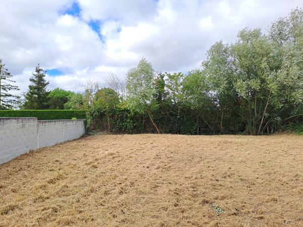 Vente terrain Challans : 99 900 € - AJP Immobilier Challans