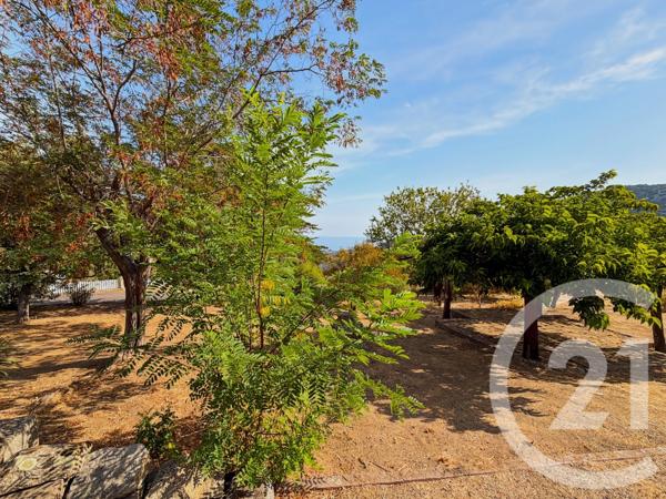 Maison à vendre  5 pièces - 136,42 m 2   SANTA REPARATA DI BALAGNA  - 202