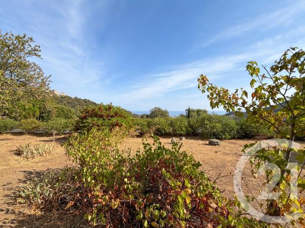 Maison à vendre  5 pièces - 136,42 m 2   SANTA REPARATA DI BALAGNA  - 202