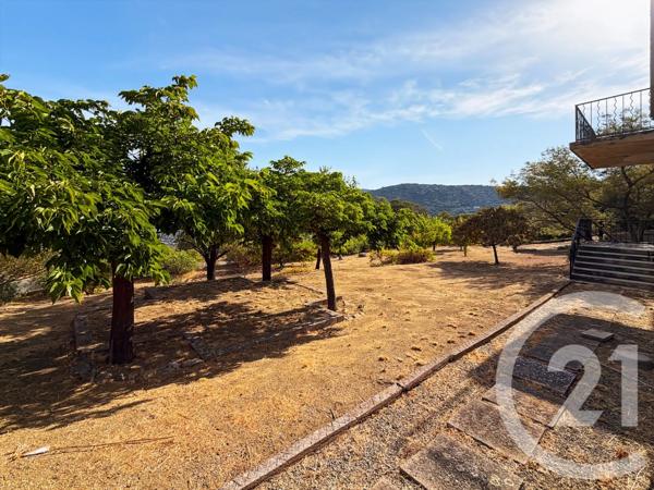 Maison à vendre  5 pièces - 136,42 m 2   SANTA REPARATA DI BALAGNA  - 202