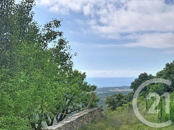 Maison à vendre  2 pièces - 45 m 2   SAN NICOLAO  - 202