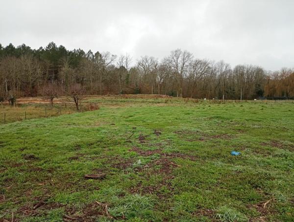 Terrain à vendre    1 404 m2 Rion-des-Landes