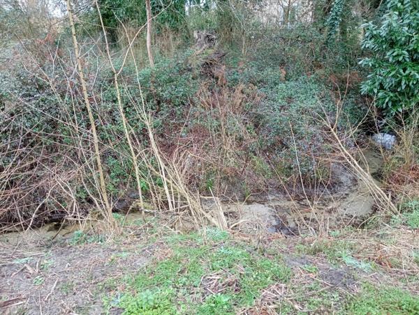 Terrain à vendre    1 404 m2 Rion-des-Landes