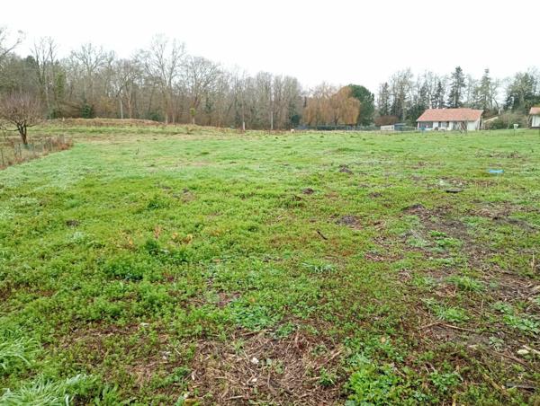 Terrain à vendre    1 404 m2 Rion-des-Landes