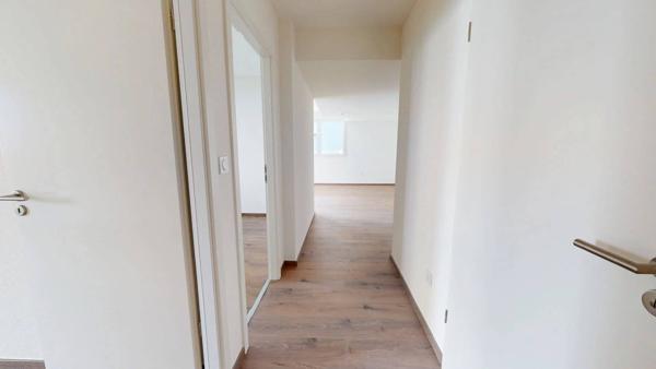 Grand F4 neuf en rez-de-jardin avec 200 m² de jardin et cave