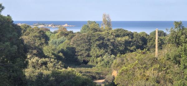 Appartement à PIETROSELLA (20166)