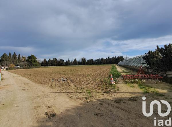 Terrain à vendre 73 423 m² Elne