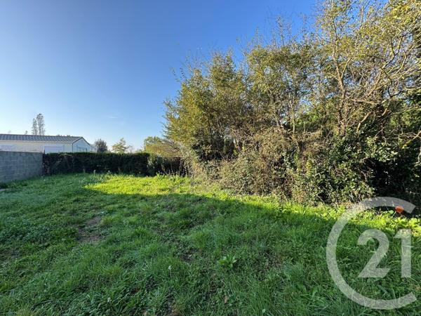 Terrain à vendre  338 m2 BRETIGNOLLES SUR MER - 85