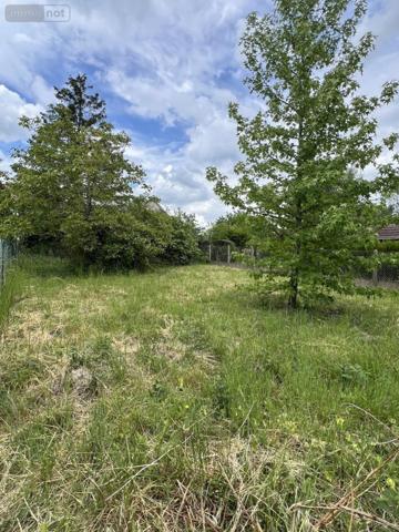 Maison à vendre à Chaingy dans le Loiret (45380), ref : 41029-10