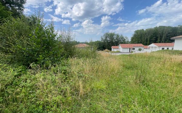 Terrain à vendre    Pouillon
