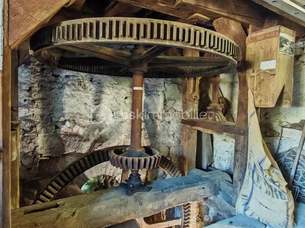 À seulement 15 minutes de Tours, au cœur de Savonnières, venez découvrir cette propriété de caractère.
Cet ensemble immobilier rare offre un cadre de vie privilégié et offre de nombreuses possibilités, aussi bien pour un projet familial que pour le développement d'une activité touristique. Sa position centrale permet un accès immédiat au bourg et aux commerces.

Une maison principale pleine de charme

Le rez-de-chaussée accueille une entrée, un bureau, une salle de bains avec espace buanderie, une cave ainsi qu'une chaufferie.
Le niveau principal de vie s'ouvre sur un palier desservant une agréable véranda bénéficiant d'une vue sur l'étang. Vous y trouverez également un séjour, une cuisine, deux chambres, dont l'une dispose de sa propre salle d'eau, ainsi que des WC indépendants.
À l'étage, une chambre supplémentaire, une salle d'eau et un espace de rangement complètent l'ensemble. Un vaste grenier aménageable offre également un beau potentiel pour créer de nouveaux espaces selon vos envies.

Un gîte indépendant pour accueillir ou développer un projet locatif

Accessible directement depuis la maison ou par une entrée indépendante depuis l'extérieur, cet espace constitue un véritable atout pour la propriété.
Il comprend une entrée avec kitchenette, deux chambres disposant chacune d'une mezzanine, ainsi qu'une salle d'eau avec WC.
Cet espace pourra parfaitement convenir à une activité de location saisonnière, de gîte ou à l'accueil de proches, tout en conservant l'indépendance de chacun.

Un authentique ancien moulin, véritable témoin du passé

Élément emblématique de la propriété, l'ancien moulin apporte à ce lieu toute son identité et son caractère.
Les mécanismes et les meules d'origine sont encore présents, tout comme une partie du système hydraulique.
L'étage du moulin offre également des possibilités d'exploitation et d'aménagement, permettant d'imaginer de nombreux projets autour de ce patrimoine exceptionnel.
La propriété dispose également d'un ancien four à pain en bon état, venant compléter le charme et l'authenticité de cet ensemble immobilier.

Un environnement naturel en plein cœur de Savonnières

À l'extérieur, vous profiterez d'un jardin arboré, d'un étang ainsi que d'un terrain naturel au cœur d'un environnement central mais préservé.

Un bien rare aux multiples possibilités

Cette propriété singulière offre un formidable potentiel pour de nombreux projets : résidence principale ou secondaire, maison familiale, activité de gîte ou de chambres d'hôtes, projet touristique ou culturel…

Une propriété rare sur le secteur, à découvrir pour les amoureux de lieux authentiques et de projets de caractère.