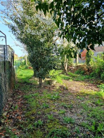 Maison à vendre à Hazebrouck dans le Nord (59190), ref : 13078/3039 secteur lycée des Flandres