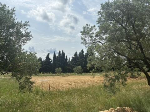 Estézargues (30390) Terrain à bâtir 522 m2 avec vue dégagée