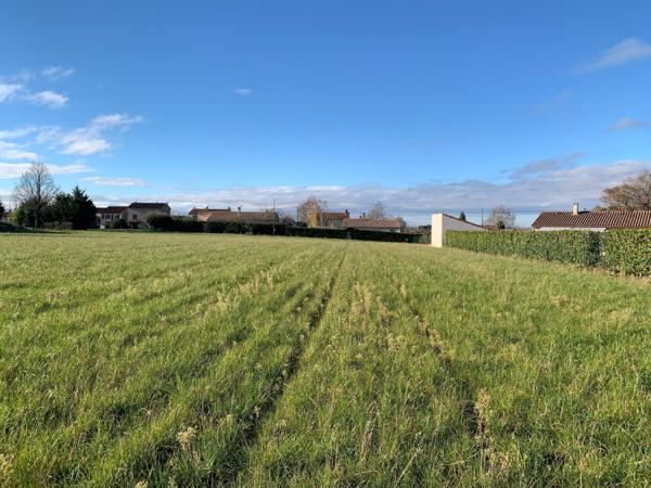 Terrain plat de 2600 m2