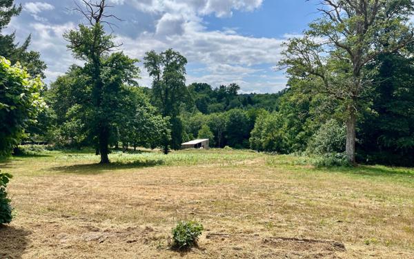 Maison à vendre    5 pièces •  Rilhac-Rancon