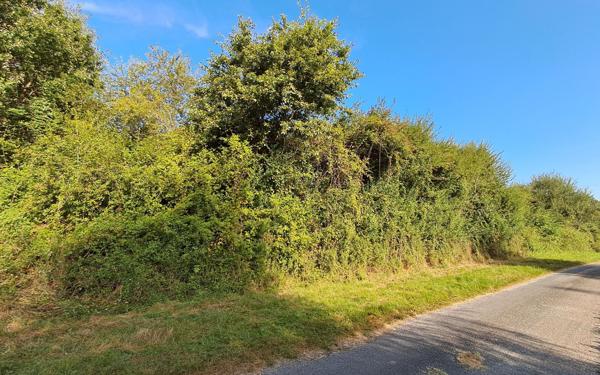 Terrain à vendre    Bergerac