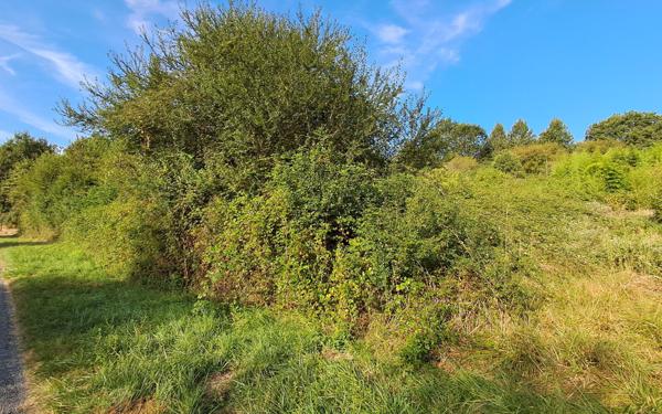 Terrain à vendre    Bergerac