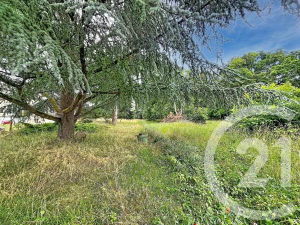 Terrain à vendre  12169 m 2   VILLENEUVE SUR YONNE  - 89