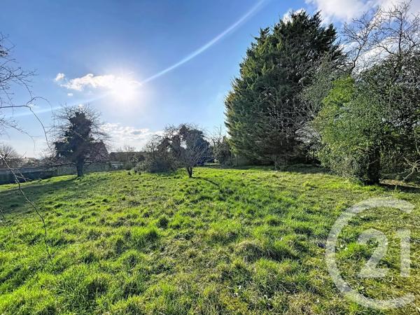 Terrain à vendre  12169 m 2   VILLENEUVE SUR YONNE  - 89