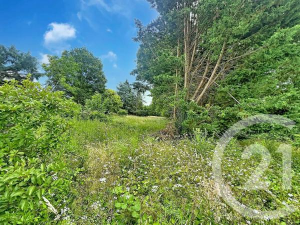 Terrain à vendre  12169 m 2   VILLENEUVE SUR YONNE  - 89