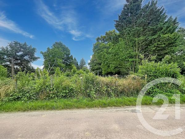 Terrain à vendre  12169 m 2   VILLENEUVE SUR YONNE  - 89