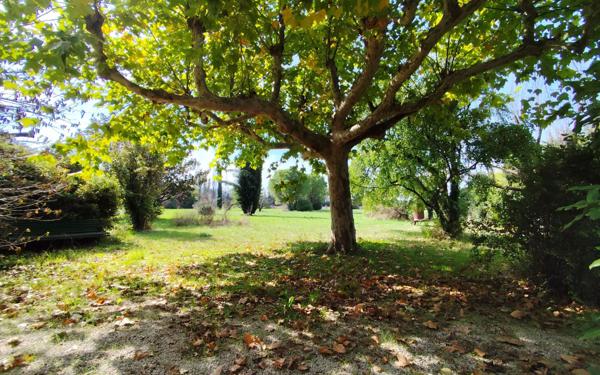 Maison à vendre    9 pièces •  L'Isle-sur-la-Sorgue