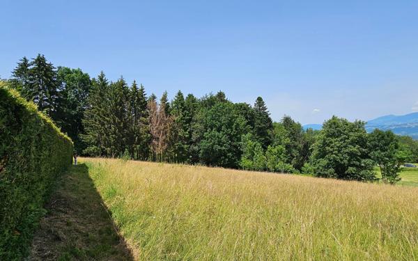 Terrain à vendre    Etaux