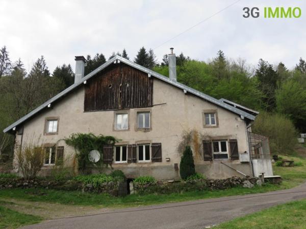 Vente / Maison avec dépendance