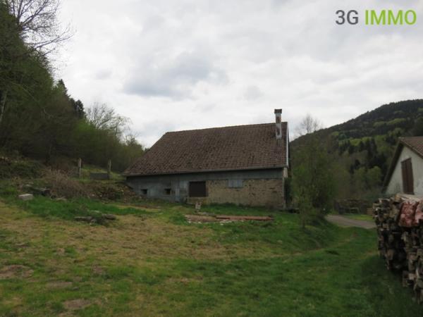 Vente / Maison avec dépendance
