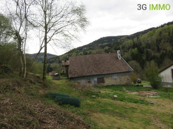 Vente / Maison avec dépendance