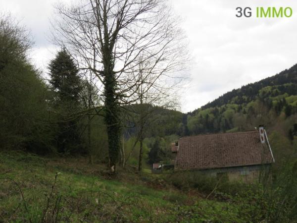 Vente / Maison avec dépendance