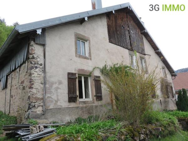 Vente / Maison avec dépendance