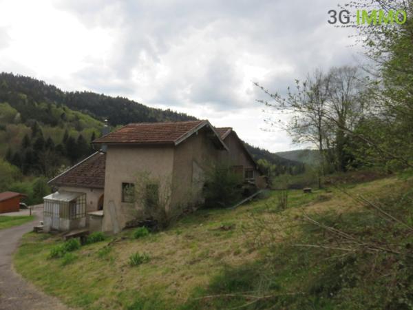 Vente / Maison avec dépendance