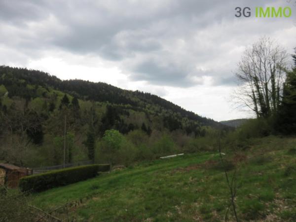 Vente / Maison avec dépendance