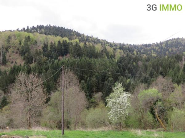 Vente / Maison avec dépendance
