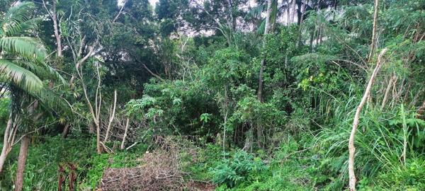 Terrain de 1362m2 dont 439m2 CONSTRUCTIBLE  en Zone U5