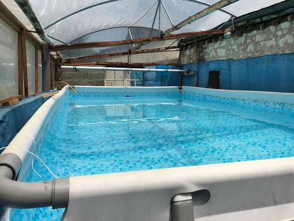 Charmante Maison Ancienne à Vendre à St Philbert du Peuple !